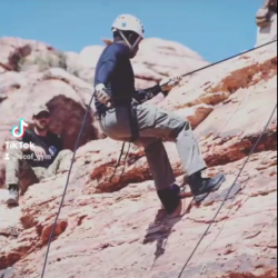 Pastelli, 19710202, Kenscoff, Ouest, Haiti Pastelli, 19710202, Kenscoff, Ouest, Haiti