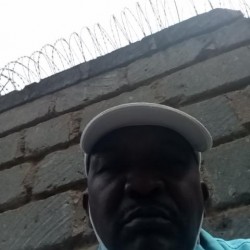 SHARK, 19650725, Nairobi, Nairobi, Kenya